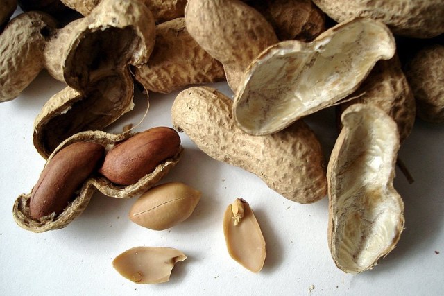 peanuts-1113_960_720.jpg