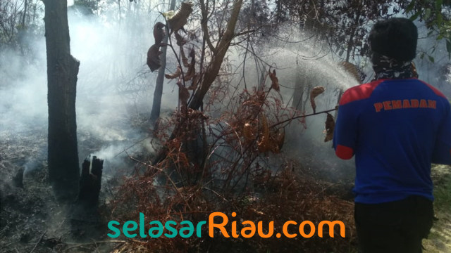 SEORANG petugas pemadam memadamkan kebakaran hutan dan lahan di Kabupaten Bengkalis, Sabtu, 16 Februari 2019. 
