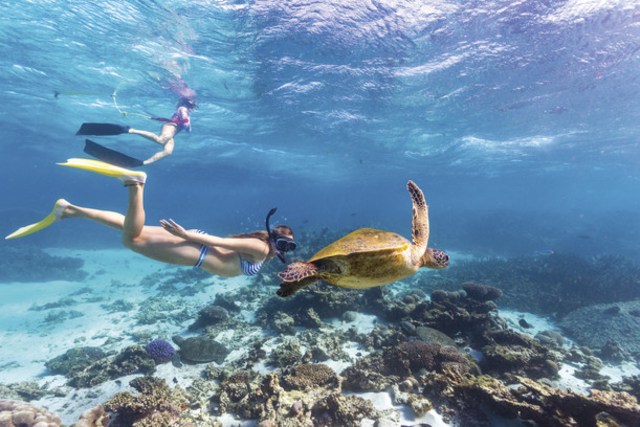 Petualangan Laut di Ningaloo Reef