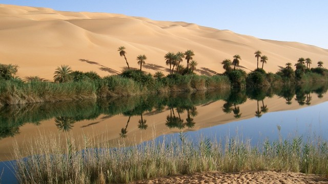 Foto: commons.wikimedia.org