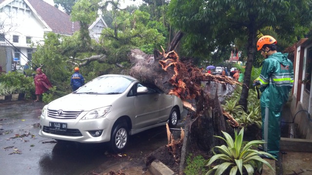 Mobil Innova tertimpa pohon di Jalan Kartini, Kota Malang, selasa (19/2). (foto: Gigih Mazda/Tugu Malang).