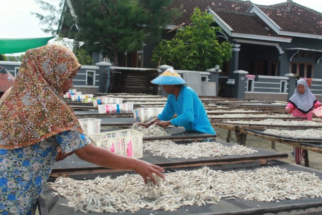 Aktifitas warga di sentra industri teri asin Pulau Pasaran Lampung | foto: Latifah Desti Lustikasari/lampunggeh.co.id