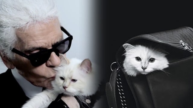 Choupette kucing kesayangan Karl Lagerfeld. Foto: Instagram @choupettesdiary