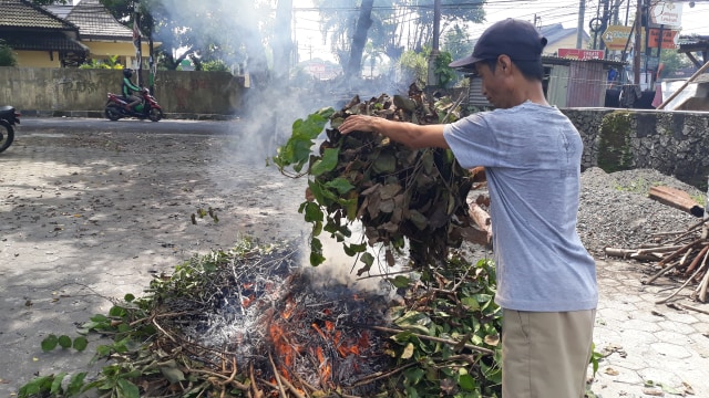 Seorang warga Yogyakarta yang sedang membakar sampah dedaunan, Rabu (20/2/2019). Foto: ken.