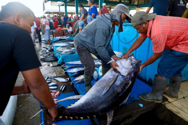 Ilustrasi ikan tuna di Tempat Pelelangan Ikan (TPI) LAmpulo, Banda Aceh. Foto: Suparta/acehkini