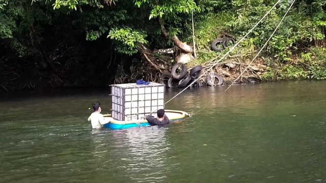 Proses evakusi orang utan di Aceh Barat Daya. Foto: Dok. BKSDA Aceh