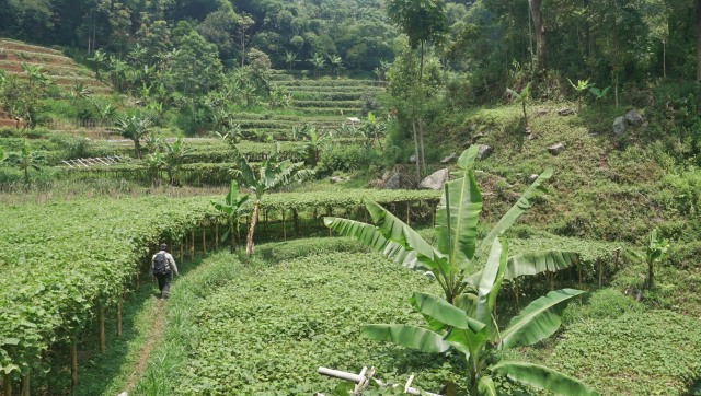 KONTEN SPESIAL SESAR LEMBANG, COVER 3