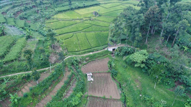 KONTEN SPESIAL SESAR LEMBANG COVER