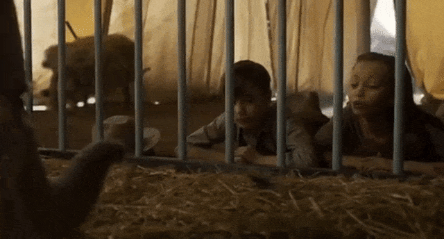 Film 'Dumbo'