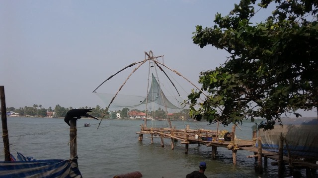 Jejak Bangsa Besar Dunia di Fort Kochi, Keberagaman India (80978)