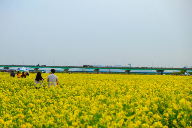 Foto Pemandangan Romantis Korea - Gambar Pemandangan Indah