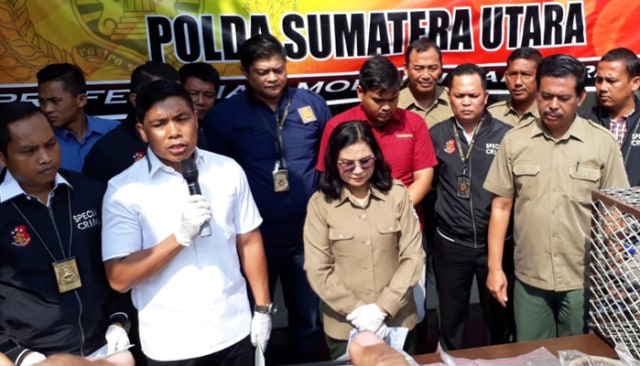 Polda Sumut Sita 16 Ekor Burung Yang Dilindungi Senilai Rp 500
