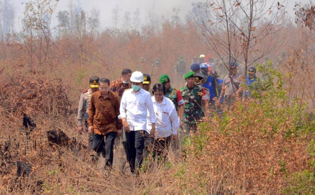 Presiden Jokowi, ketika meninjau kebakaran hutan di Jambi. Foto: ksp.go.id