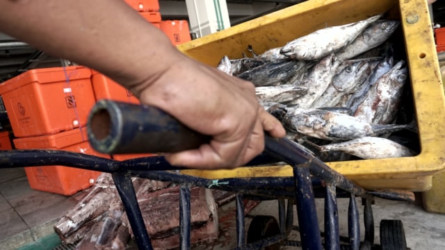 Pasar Ikan Modern (PIM) Muara Baru di Penjaringan, Jakarta Utara
