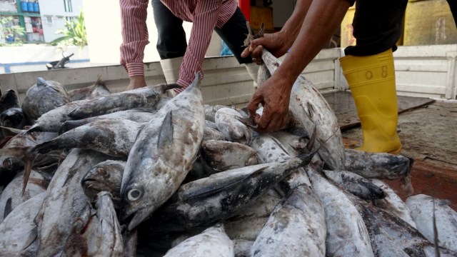 Pasar Ikan Modern (PIM) Muara Baru di Penjaringan, Jakarta Utara