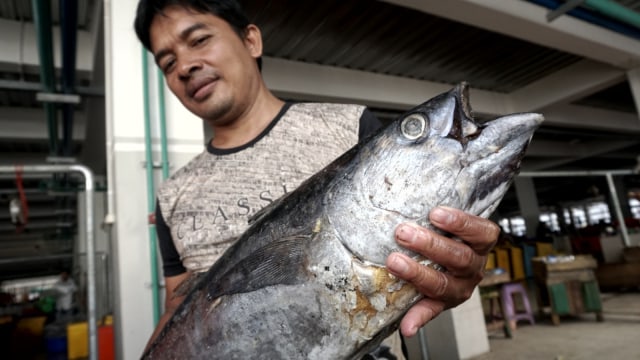 Pasar Ikan Modern (PIM) Muara Baru di Penjaringan, Jakarta Utara