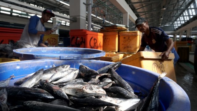 Pasar Ikan Modern (PIM) Muara Baru di Penjaringan, Jakarta Utara