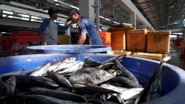 Pasar Ikan Modern (PIM) Muara Baru di Penjaringan, Jakarta Utara