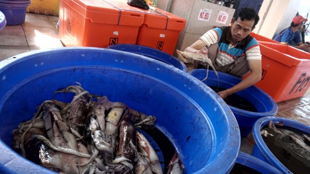 Pasar Ikan Modern (PIM) Muara Baru di Penjaringan, Jakarta Utara