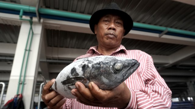 Pasar Ikan Modern (PIM) Muara Baru di Penjaringan, Jakarta Utara