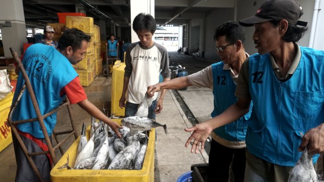 Pasar Ikan Modern (PIM) Muara Baru di Penjaringan, Jakarta Utara