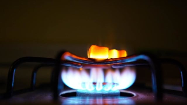 Untitled Image