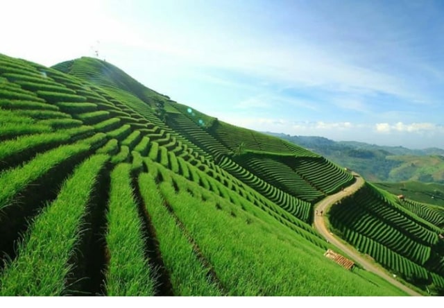 Tempat Wisata  Panyaweuyan  Majalengka  Tempat Wisata  Indonesia