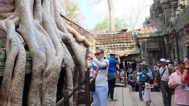 Ta Phrom Pernah Jadi Lokasi Syuting Film Tomb Raider