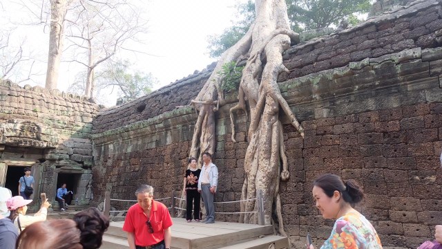 Salah Satu Pohon di Ta Phrom Dilengkapi Tempat Khusus untuk Ambil Foto Foto: Bella Cynthia / kumparan