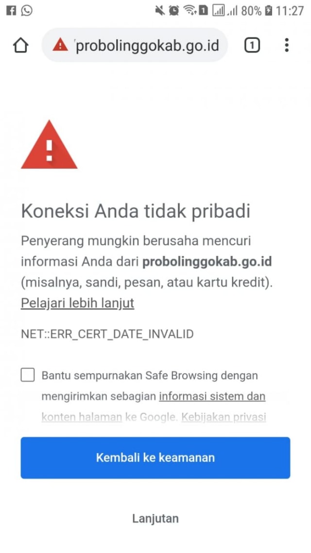 Website Pemkab Probolinggo Tak Bisa Diakses