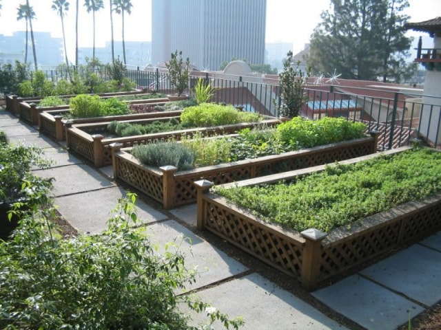 Mengenal Urban Farming, Konsep Pertanian Kota Untuk Masa Depan ...