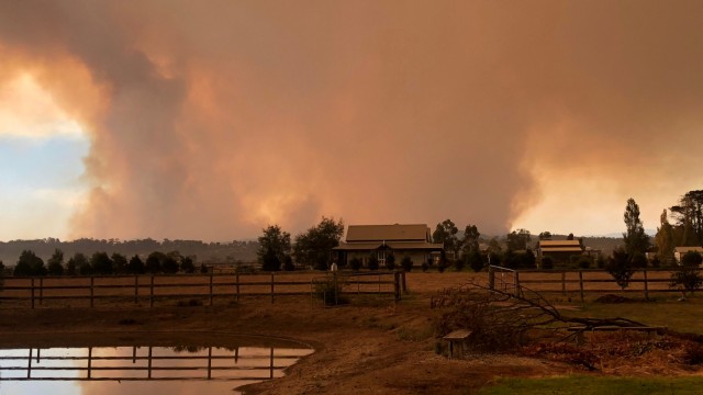 Kebakaran lahan di Australia. Foto: AAP Image/Steven Clarke/via REUTERS