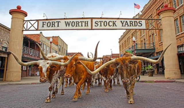 5 Tempat yang Wajib Dikunjungi di Texas (27692)