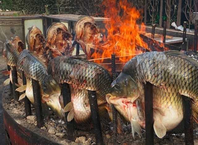 Foto proses pemanggangan ikan mas. Ikan tidak langsung diletakkan di atas bara namun diletakkan disisi bara api dengan jarak sekitar 20-40 cm. Sumber: www.pinterest.com