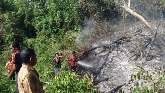 Petugas pemadam dan masyarakat berusaha memadamkan api di lahan yang diduga sengaja dibakar, Kecamatan Julok, Aceh Timur. Foto: Dok. BPBA 