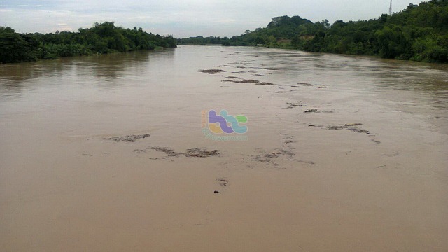 Kondisi Tinggi Muka Air Bengawan Solo di Bojonegoro.