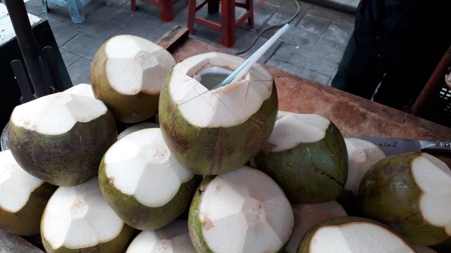 Selain Meningkatkan Imunitas, Ini 6 Manfaat Air Kelapa Hijau untuk Tubuh (67054)