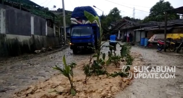 Warga Desa Padabeunghar menanam pohon pisang di tengah jalan sebagai kritik kerusakan jalan Provinsi ruas Cikembar-Jampang Tengah, Rabu (6/3/2019). | Sumber Foto:Istimewa.