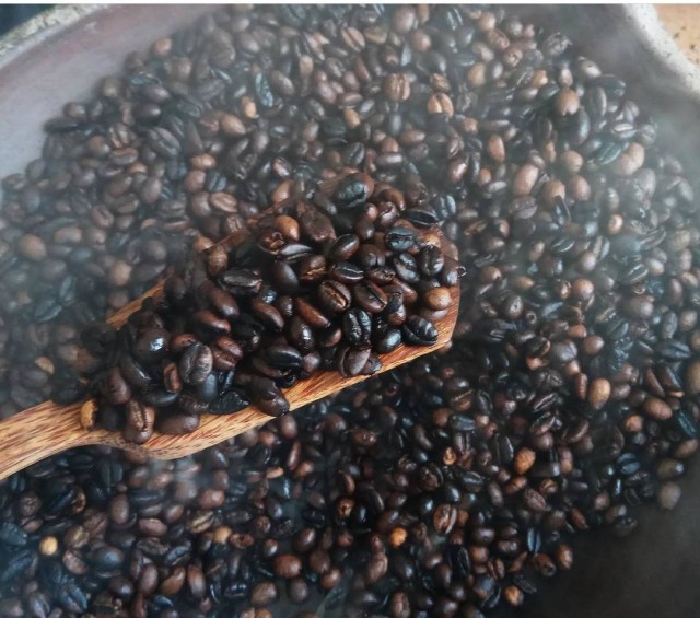 Kopi Liberica Kayong Utara dengan aroma nangka. Foto: Daddy Cavalero