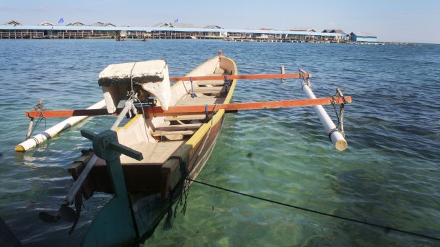 _MG_1246.JPG