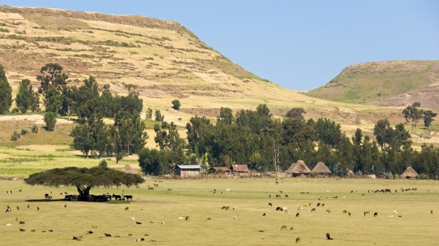 On_The_Road_To_Simien_Mountains_National_Park,_Ethiopia_(2446794591).jpg