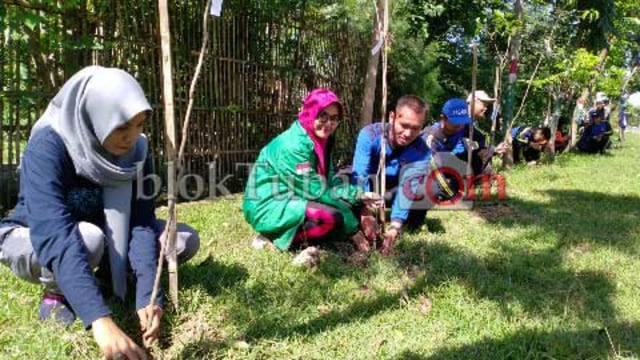 Tagana Korcam Soko Tanam 1000 Pohon di Sandingrowo