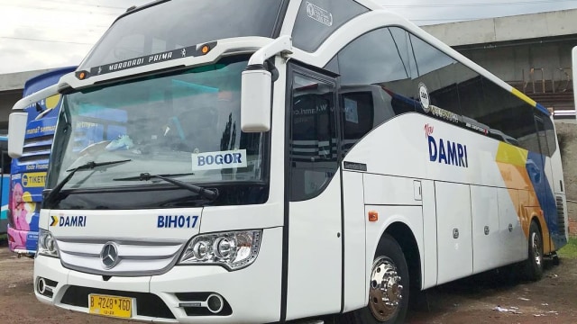 Ilustrasi bus DAMRI. Foto: Instagram/@damriindonesia