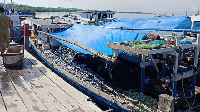 KKP Siapkan Aturan Baru untuk Jaga Produksi Tuna Cakalang Tongkol (267059)