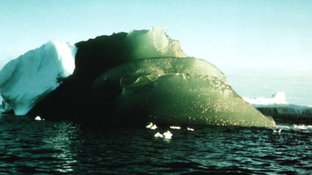 Gunung es berwarna hijau di Antartika Foto: AGU/Journal of Geophysical Research: Oceans/Kipfstuhl et al 1992
