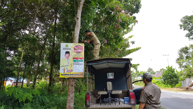 Anggota Satpol PP Kobar saat menertibkan APK yang dipasang di pohon di jalan Jendral Sudirman, Pangkalan Bun (Foto:Joko Hardyono)