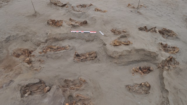 Kerangka anak-anak yang ditemukan di situs Huanchaquito-Las LImas Foto: Journal PLOS-ONE/Gabriel Prieto