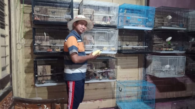 Bripka Arip Nirwanto(33) anggota polisi di Bagian Humas Polres Blora, yang memiliki hobi memelihara burung lovebird