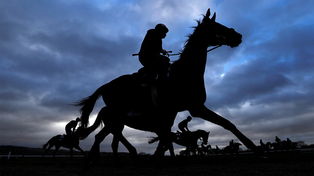 Ilustrasi berkuda. Foto: Reuters/Paul Childs