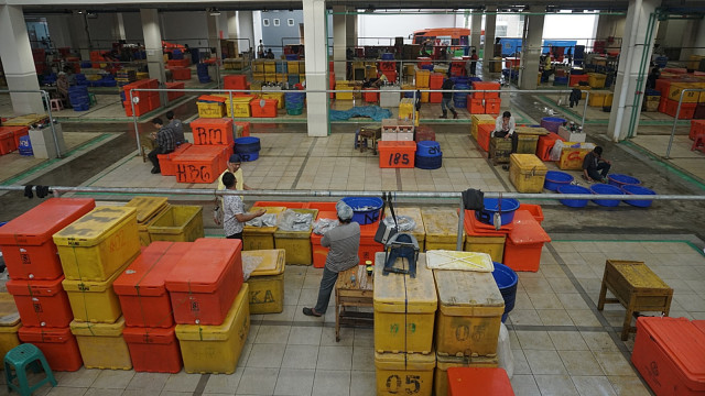 Persiapan pedagang ikan di Pasar Ikan Modern (PIM) Muara Baru jelang peresmian. Foto: Iqbal Firdaus/kumparan